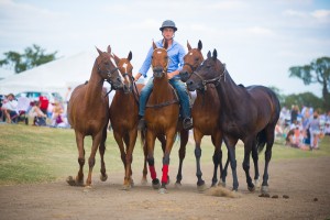 groom and ponies